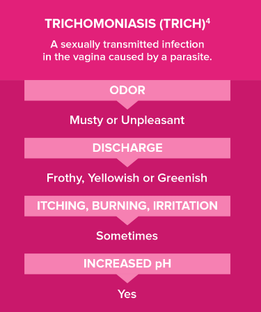 trichomoniasis common symptoms